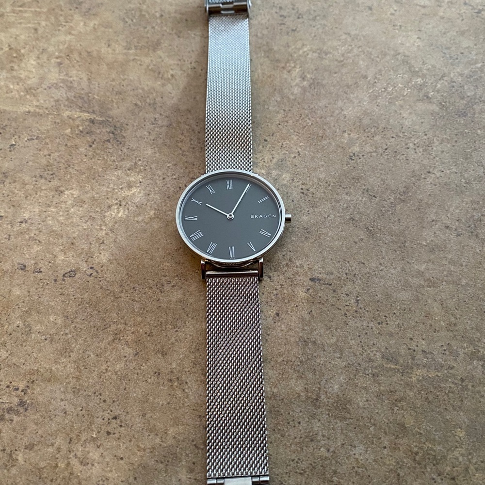Skagen Stainless Steel Women’s Watch